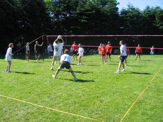 volleybal